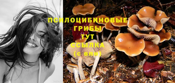 трава Алзамай