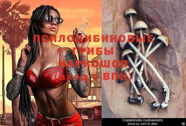 метадон Алексеевка