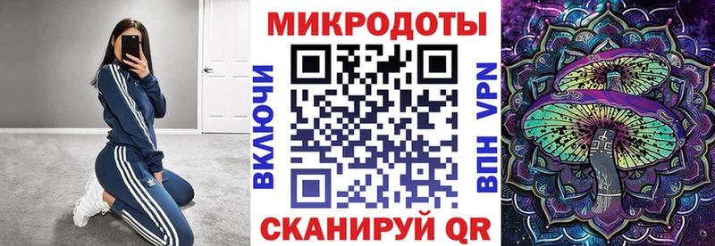 закладка Камышин ссылка на мегу зеркало Псилоцибиновые грибы MAGIC MUSHROOMS
