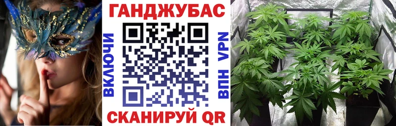 сколько стоит  Камышин  Шишки марихуана планчик 